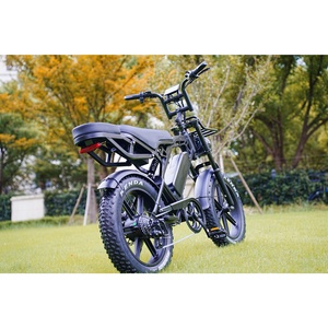 Bicicleta Eléctrica Zerogo, Bicicleta de Montaña Especializada, Fatbike V20 Pro Nederland, Mini Fatbike de 20 Pulgadas, Almacén en el Extranjero - Product Image 4