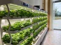 Petite jardinière d'intérieur pour jardin, kit de culture hydroponique pour serre avec lumière de culture à led intelligente, système de culture hydroponique vertical