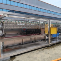 Ligne d'abattage pour 800 à 1 000 poulets par heure, machine à plumer les poulets, équipement d'abattage