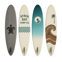 Planche de surf personnalisée en fibre de verre EPS époxy pour les manœuvres rapides dans les petites vagues pour les eaux océaniques