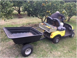 2 Ghế Mini Golf Giỏ Hàng, Trẻ Em Golf Xe Tay Ga, Với Phía Sau Hàng Hóa Hộp Hoặc Ghế Từ Nhà Máy Trung Quốc - Product Image 4