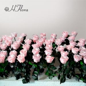 Aniversario de bodas Día DE LA MADRE Regalo del día de San Valentín Ramo Flor Etern Flor individual con ramas <span class=keywords><strong>Rosas</strong></span> preservadas - Product Image 1