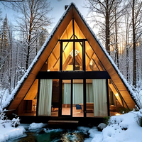 Maisons miniatures de forme triangulaire, kit de maison en bois de 20 pieds en forme de A, maison de luxe, camping-car, hôtel, maison triangulaire pour appartement, chalet
