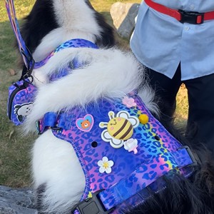 Bộ dây đai và dây dắt chó thiết kế thời trang có lỗ, có thể tự thiết kế, phụ kiện tự làm, thoải mái khi huấn luyện và đi dạo - Product Image 4