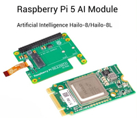 Paket Papan AI HAT Raspberry Pie 5 AGV Edge Computing Video Analysis Accelerator Hailo8L