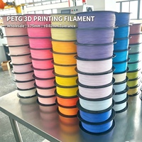 Filamen Printer 3D PETG 1.75mm Warna Macaron Ketahanan Tinggi Minimal Mengembang Pada Panas Bersertifikasi RoHS REACH Pabrik Kustom OEM ODM