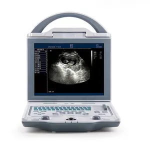Goedkope Prijs KX-5600 Dierlijke B-Echografie Draagbare B-Modus Paarden Veterinaire Echografie Machine