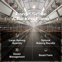 Système de cages à poules pondeuses entièrement automatique galvanisé de type H à 4 niveaux pour l'élevage commercial de volailles et la production d'œufs
