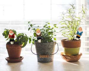 装飾的なガーデンノーム テラコッタ製 植物水やりスパイク - Product Image 5