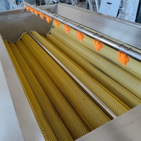 Machine à laver automatique à rouleaux brosse en acier inoxydable argenté pour légumes-racines, pommes de terre, carottes, gingembre, maïs, multifonctionnelle