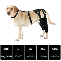 Attelle de rééducation moderne et confortable pour chien, pour genoux et pattes, en tissu de plongée, pour protéger les genoux, les pattes et les hanches, toutes saisons