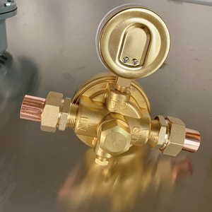Regolatore di Gas in Ottone Resistente per Bombole, Tipo a Diaframma, Struttura Monostadio con Valvola di Sicurezza Integrata per GPL e Propano - Product Image 6