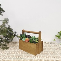Hava tencere yükseltilmiş çanta yatak cocopeat
