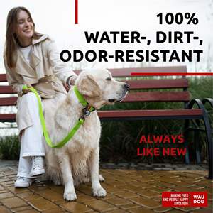 Collar Moderno para Perro Waudog Verde, 14-23 Pulgadas, 1 Pulgada de Ancho, Acolchado, de Nailon, con Hebilla Ajustable para Perros Medianos y Grandes - Product Image 3