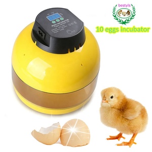 Incubateur manuel <span class=keywords><strong>Janoel</strong></span> <span class=keywords><strong>10</strong></span> œufs de poule <span class=keywords><strong>couveuse</strong></span> de volaille couveuses pour poulets canards oies oiseaux oeufs de caille oeufs d'oiseaux - Product Image 6