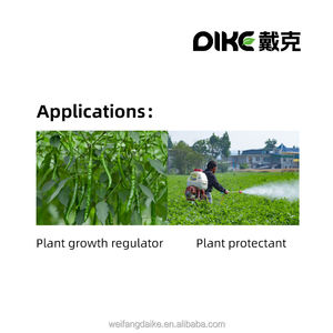 ปุ๋ยลิกนินเหลวสารละลายธาตุอาหารเหลวแบบพรีเมี่ยม - Product Image 6