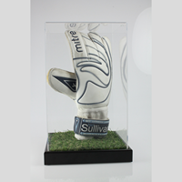 Boîte à gants en acrylique sur mesure RAYYI, directement de l'usine, pour l'affichage ou le laboratoire, avec vitrine de présentation de gants de boxe en acrylique transparent, boîte de rangement