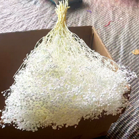 Karangan Bunga Hias dan Tanaman Bunga Awet Mini Baby's Breath Bunga Kering Karangan Bunga Putih Buket Gypsophila