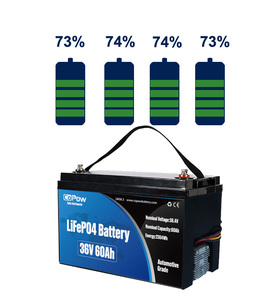 CoPow roypow <span class=keywords><strong>12V</strong></span> 24 voltios batería de iones de litio 48V 100ah batería de litio LiFePO4 <span class=keywords><strong>12V</strong></span> 24 voltios 100ah 80ah 130ah LiFePO4 batería - Product Image 2
