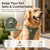 Kit de laisse et collier pour animaux de compagnie en nylon durable, rembourré pour plus de confort, pour chiot et chat, pour les promenades en plein air