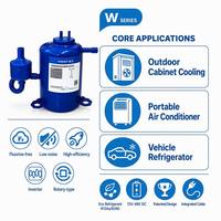 Compresor Rotatorio de Cobre de CC de 24-48 V, Serie HIGHLY W BSW014 VSW020 VSW030, Portátil y Miniatura, Refrigerante R134a para Aire Acondicionado