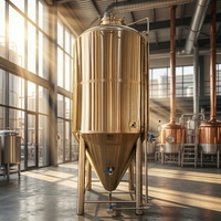Fermenteur conique en acier inoxydable de 300 L - Cuve de fermentation à double enveloppe pour microbrasserie artisanale