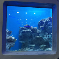 Aquarium en verre acrylique transparent de forme personnalisée, grand aquarium, fabricant direct, aménagement paysager d'océanarium, spécial