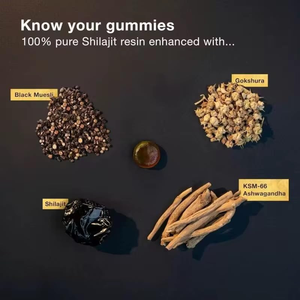 Tốt hơn ALT tự nhiên ban đầu vàng Himalaya shilajit năng lượng Gummies cho nam giới biển rêu sư tử bờm chiết xuất dành cho người lớn bổ sung - Product Image 4