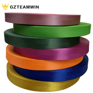 Chất lượng cao may mặc Ribbon tùy chỉnh màu sắc rắn 2 inch Nylon Webbing Băng