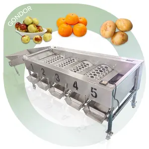 Quality Jujube Industrial Tomato Onion Citrus Fruit Vegetable Sizer Size Grader Sorting Machine and Dry