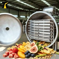 Industriële vacuümvriesdroger uit China voor voedselverwerking, 20m² - 100m², OEM grote vacuümvriesdroger voor voedselbedrijven