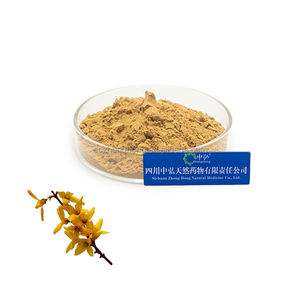 Zh สารสกัดจากพืช Forsythin <span class=keywords><strong>Fructus</strong></span> ผงสารสกัดจาก Forsythin ออร์แกนิก - Product Image 2
