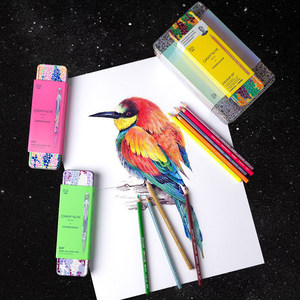 Ensemble de crayons d'art à base d'huile et solubles dans l'eau CARAN D'ACHE Germanier Collaboration pour débutants, ensemble de 13 crayons - Product Image 6