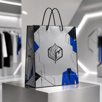 Sacs en papier kraft personnalisés avec logo, usine source, sacs en papier pour emballage de vêtements, sacs de shopping, luxe classique argent-bleu