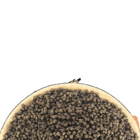 Nourriture pour poissons dinosaures, petits granulés pour axolotls, nourriture pour poissons de fond, matériau coulant, éclaircissant les écailles, riche en nutriments