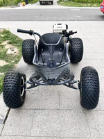 Kart tout-terrain à chaîne 2 temps pour adultes, alimenté à l'essence, moteur 90cc/110/212cc, capacité de charge de 200 kg
