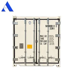 Freezer Container 20ft Length Japanese Daikin Brand Refrigerated 20 Feet Freezer Length Reefer Containers Price For Sale