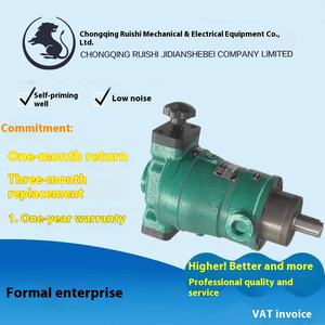 צ 'ונגביי מפעל מכונות ג' יאנגביי hr צנטריפוגה 63/80/160scy14-1bg-1bg-1bg-צילית בוכנה משאבת שמן בלחץ גבוה - Product Image 4