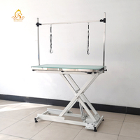 EUR Offre Spéciale PET Table de toilettage pour chiens Table de toilettage pour chiens avec lumière LED Table de toilettage électrique pour chiens pour le nettoyage et le toilettage des animaux domestiques
