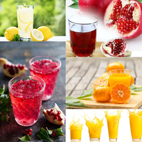 Commerciële Zware Gietijzeren Handmatige Handpers Oranje Citrus Citroen Limoen Grapefruit Granaatappel Vruchtensap Persen Machine