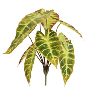 Bouquet de feuilles de taro artificielles, feuille de paon à 10 têtes, haute simulation, plante décorative d'intérieur, fleurs pour vase, vert automnal, vert foncé - Product Image 4