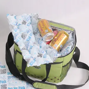 खाद्य ग्रेड ठंडा पानी इंजेक्शन फ्रीज सूखी बर्फ पैक जेल कूलिंग बैग खाद्य ताजा शिपिंग डिलीवरी परिवहन के लिए