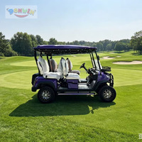 Voiturette de golf électrique compacte Donwin 48V/60V/72V 3-4 places 50 km/h Freins à disque avant/arrière Certifiée CE/EEC Aluminium Étroit