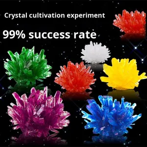 Kit de experimento de crecimiento de cristal DIY de ingeniería científica para niños, formación de 5 días, química de comunicación entre padres e hijos - Product Image 2