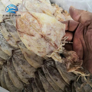 Order <strong>Online</strong> Premium Bulk Frozen Dry <strong>Squid</strong> Snack Seafood Products Vietnam Flavour <strong>Dried</strong> <strong>Squid</strong> - Product Image 5