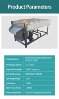 Industriële motorwasmachine met nauwkeurige temperatuurregeling voor groenteverwerkingsbedrijf 220V/380V