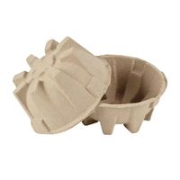Kit électronique biodégradable de papier carton recyclé personnalisé boîte moulage plateau d'insertion de pâte mécanique pour emballage écologique