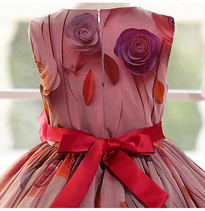 הסיטונאי בנות פרח שמלת נסיכה 3 רוז אורגנזה שמלת נשף עם חגורת אפר אירופאי בסגנון אמריקאי - Product Image 6