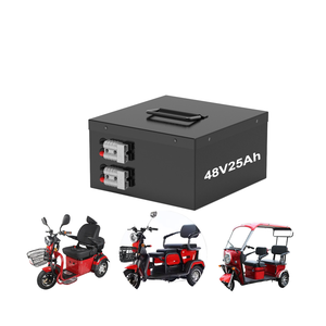 Batterie au lithium-fer-phosphate rechargeable 48V 50Ah, 6000 cycles, longue durée de vie, haute efficacité - Product Image 6