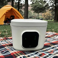 Mini-cuiseur à riz numérique portable 500 ml, design OEM 2025, chauffage USB automatique à une touche, écologique, pour la maison et la voiture (pour bébé)